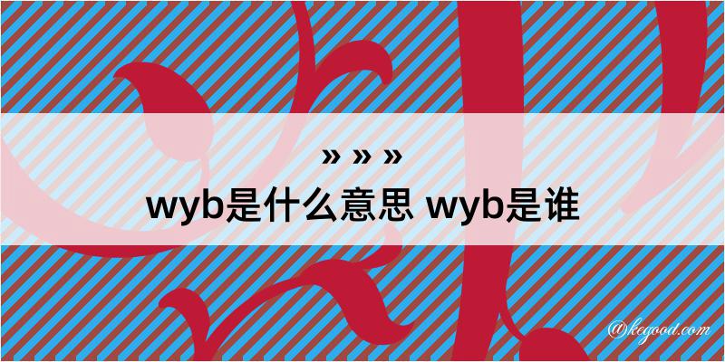 wyb是什么意思 wyb是谁